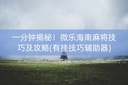 一分钟揭秘！微乐海南麻将技巧及攻略(有挂技巧辅助器)