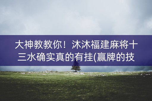 大神教教你！沐沐福建麻将十三水确实真的有挂(赢牌的技巧)