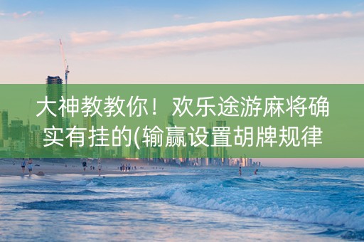 大神教教你！欢乐途游麻将确实有挂的(输赢设置胡牌规律)