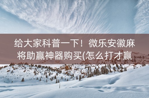 给大家科普一下！微乐安徽麻将助赢神器购买(怎么打才赢)