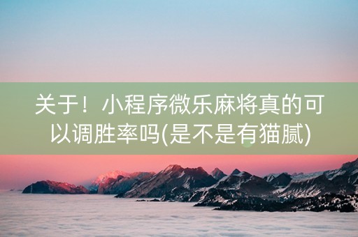 关于！小程序微乐麻将真的可以调胜率吗(是不是有猫腻)
