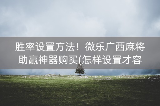 胜率设置方法！微乐广西麻将助赢神器购买(怎样设置才容易赢)