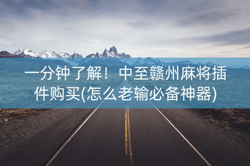 一分钟了解！中至赣州麻将插件购买(怎么老输必备神器)