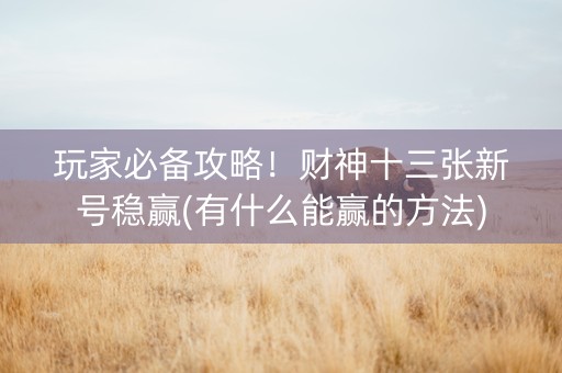 玩家必备攻略！财神十三张新号稳赢(有什么能赢的方法)