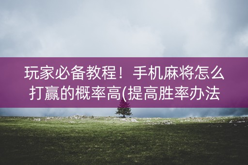 玩家必备教程！手机麻将怎么打赢的概率高(提高胜率办法)