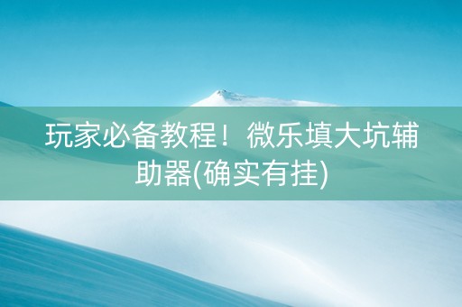 玩家必备教程！微乐填大坑辅助器(确实有挂)