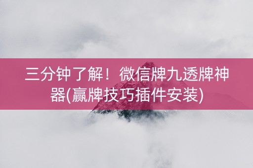 三分钟了解！微信牌九透牌神器(赢牌技巧插件安装)