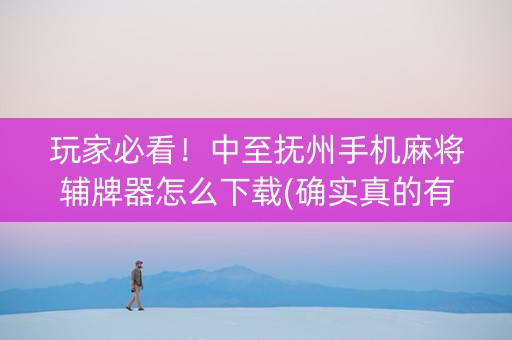 玩家必看！中至抚州手机麻将辅牌器怎么下载(确实真的有挂)