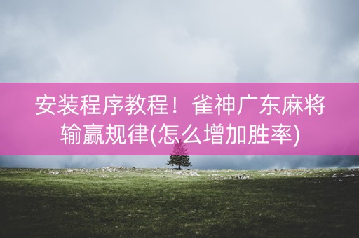 安装程序教程！雀神广东麻将输赢规律(怎么增加胜率)