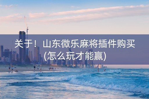 关于！山东微乐麻将插件购买(怎么玩才能赢)
