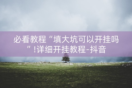 必看教程“填大坑可以开挂吗”!详细开挂教程-抖音