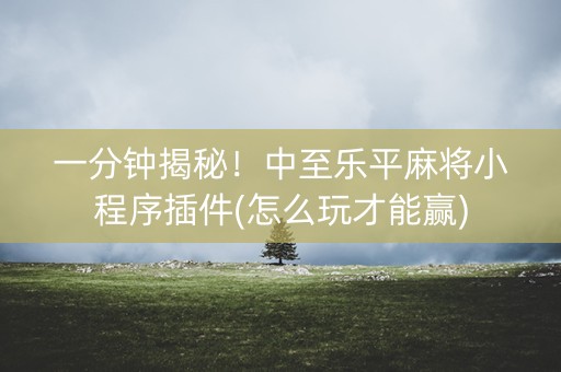 一分钟揭秘！中至乐平麻将小程序插件(怎么玩才能赢)
