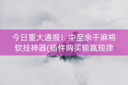 今日重大通报！中至余干麻将软挂神器(插件购买输赢规律)