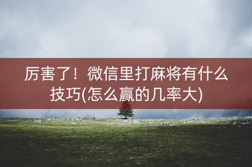 厉害了！微信里打麻将有什么技巧(怎么赢的几率大)