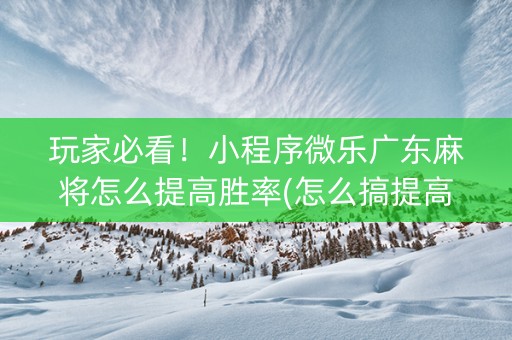 玩家必看！小程序微乐广东麻将怎么提高胜率(怎么搞提高胜率)