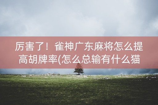厉害了！雀神广东麻将怎么提高胡牌率(怎么总输有什么猫腻)