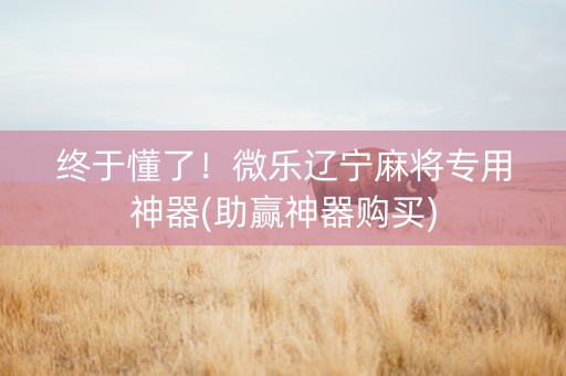 终于懂了！微乐辽宁麻将专用神器(助赢神器购买)