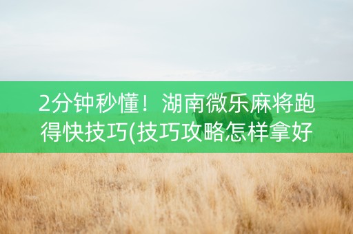 2分钟秒懂！湖南微乐麻将跑得快技巧(技巧攻略怎样拿好牌)