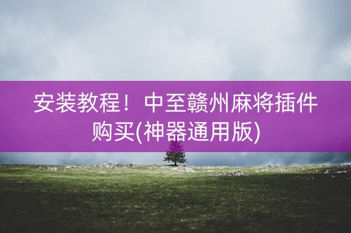 安装教程！中至赣州麻将插件购买(神器通用版)