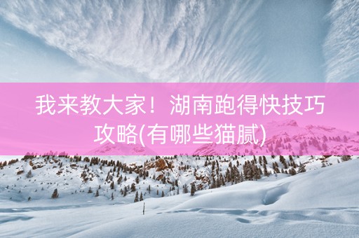 我来教大家！湖南跑得快技巧攻略(有哪些猫腻)