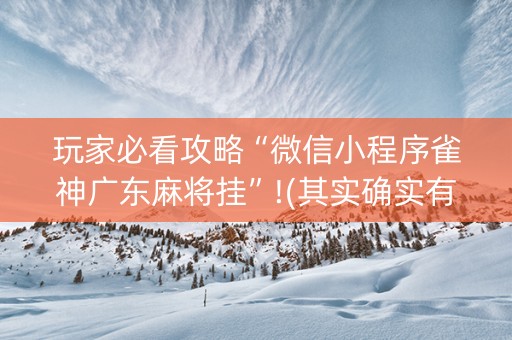玩家必看攻略“微信小程序雀神广东麻将挂”!(其实确实有挂)-抖音