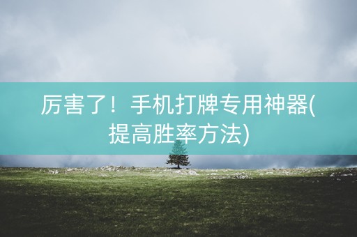 厉害了！手机打牌专用神器(提高胜率方法)