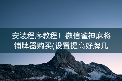 安装程序教程！微信雀神麻将铺牌器购买(设置提高好牌几率)
