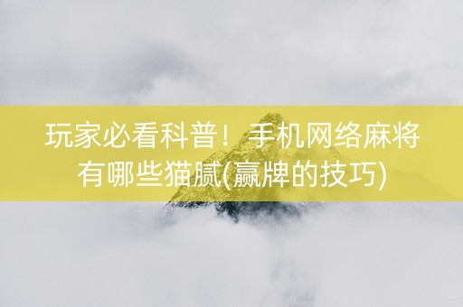 玩家必看科普！手机网络麻将有哪些猫腻(赢牌的技巧)