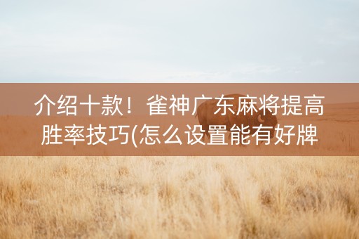 介绍十款！雀神广东麻将提高胜率技巧(怎么设置能有好牌)