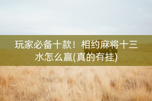 玩家必备十款！相约麻将十三水怎么赢(真的有挂)
