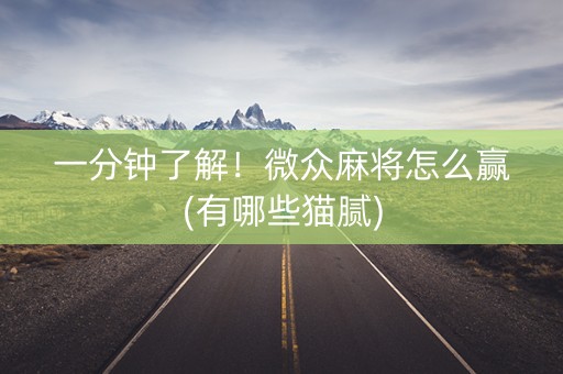 一分钟了解！微众麻将怎么赢(有哪些猫腻)