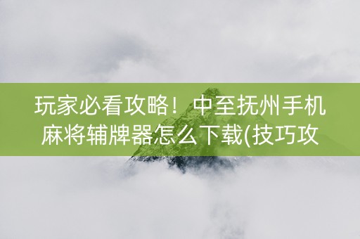 玩家必看攻略！中至抚州手机麻将辅牌器怎么下载(技巧攻略怎样拿好牌)