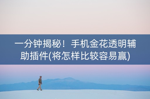 一分钟揭秘！手机金花透明辅助插件(将怎样比较容易赢)