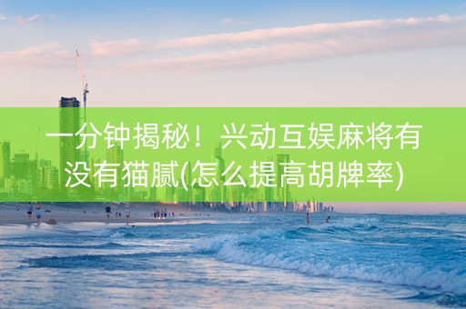 一分钟揭秘！兴动互娱麻将有没有猫腻(怎么提高胡牌率)