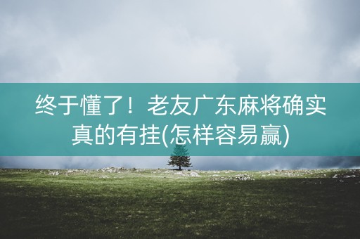 终于懂了！老友广东麻将确实真的有挂(怎样容易赢)