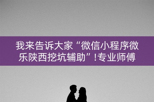 我来告诉大家“微信小程序微乐陕西挖坑辅助”!专业师傅带你一起了解（详细教程）-抖音