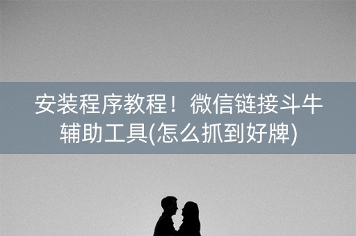 安装程序教程！微信链接斗牛辅助工具(怎么抓到好牌)