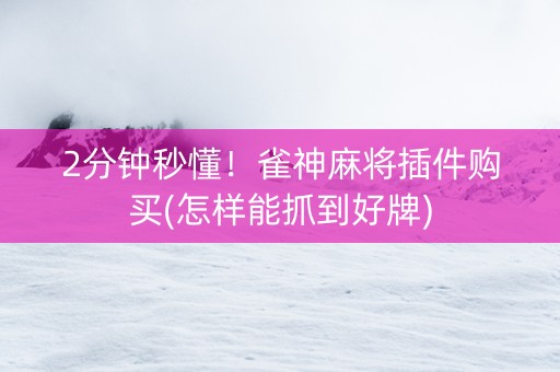 2分钟秒懂！雀神麻将插件购买(怎样能抓到好牌)