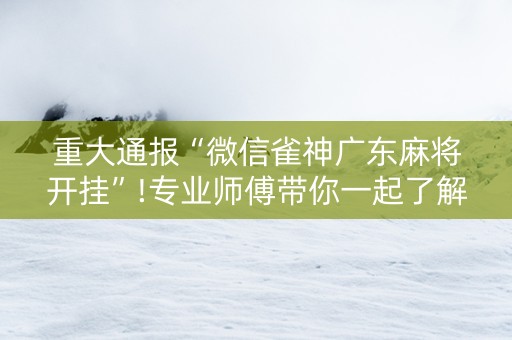 重大通报“微信雀神广东麻将开挂”!专业师傅带你一起了解（详细教程）-抖音