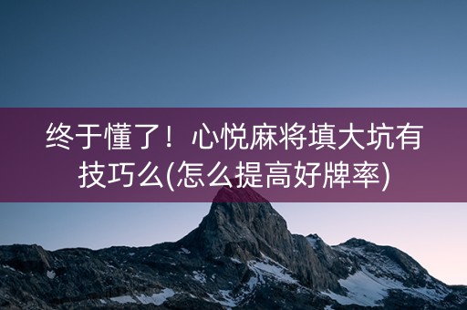 终于懂了！心悦麻将填大坑有技巧么(怎么提高好牌率)