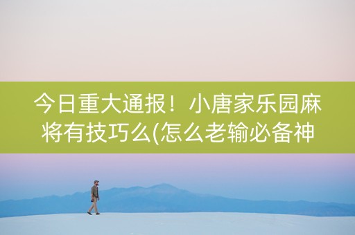 今日重大通报！小唐家乐园麻将有技巧么(怎么老输必备神器)
