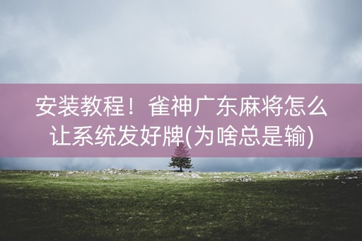 安装教程！雀神广东麻将怎么让系统发好牌(为啥总是输)