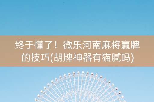 终于懂了！微乐河南麻将赢牌的技巧(胡牌神器有猫腻吗)