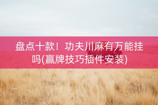 盘点十款！功夫川麻有万能挂吗(赢牌技巧插件安装)