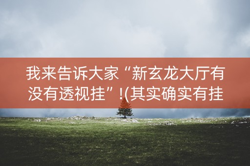 我来告诉大家“新玄龙大厅有没有透视挂”!(其实确实有挂)-抖音