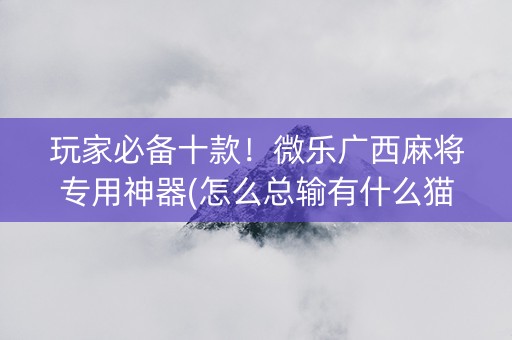玩家必备十款！微乐广西麻将专用神器(怎么总输有什么猫腻)