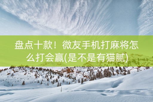 盘点十款！微友手机打麻将怎么打会赢(是不是有猫腻)