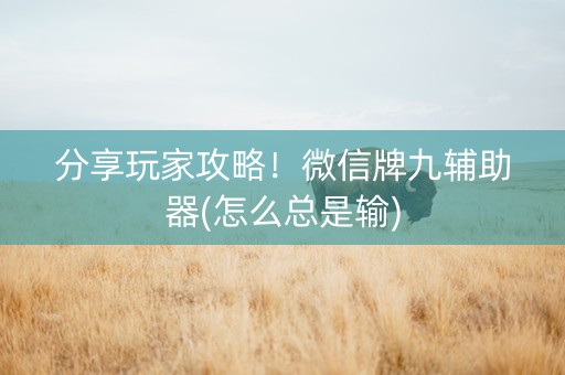 分享玩家攻略！微信牌九辅助器(怎么总是输)