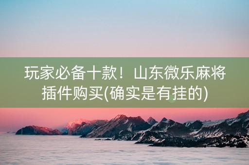 玩家必备十款！山东微乐麻将插件购买(确实是有挂的)