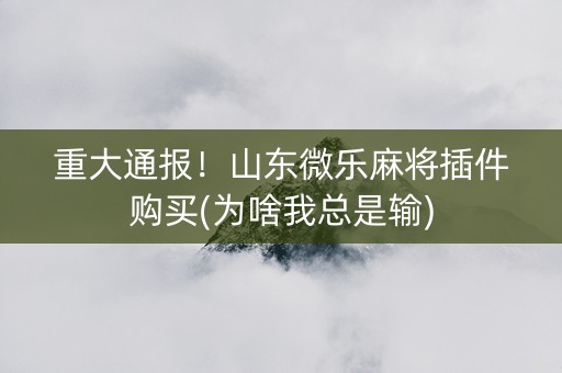 重大通报！山东微乐麻将插件购买(为啥我总是输)